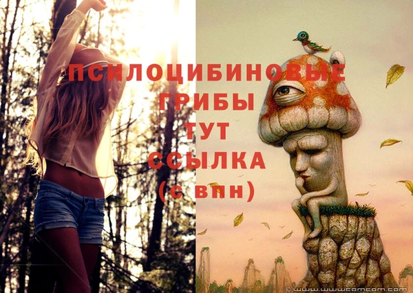амф Алексин