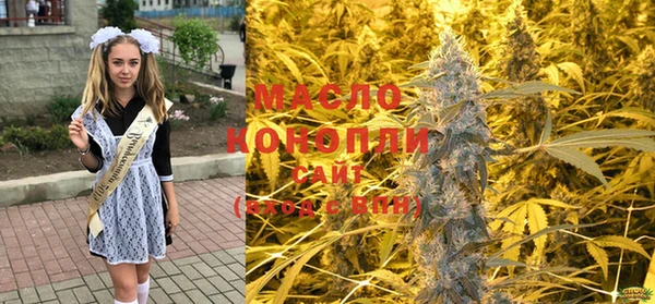 амф Алексин