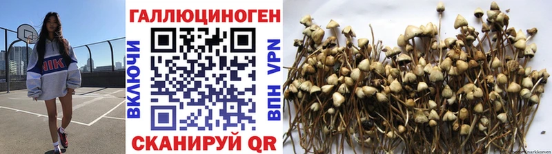 продажа наркотиков  Липки  Галлюциногенные грибы Psilocybine cubensis 
